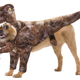 Illustration for article titled The Best Geeky Halloween Costumes For Your Pet
